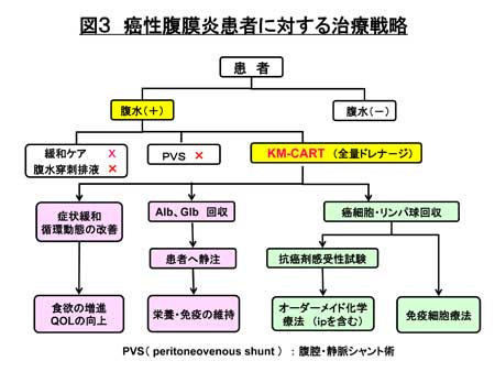 写真3 胃癌症例 48歳M